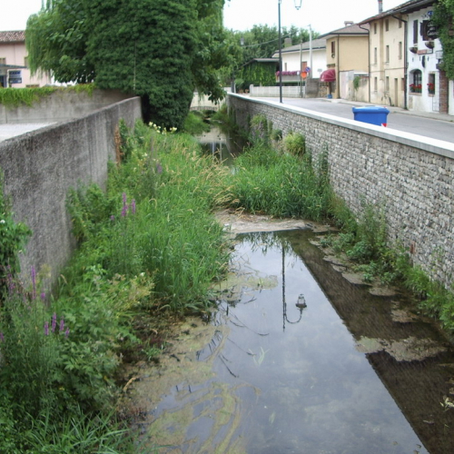 Roggia Vat foto1 prima / 22848