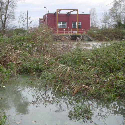 Cervignao Canale Banduzzi n. 3 / 32771