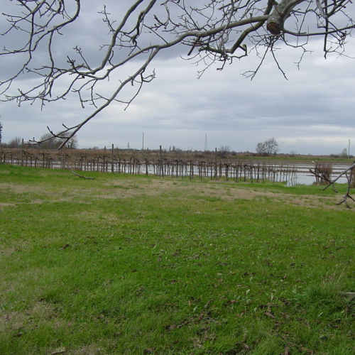 Fiumicello Case Comugna / 32726