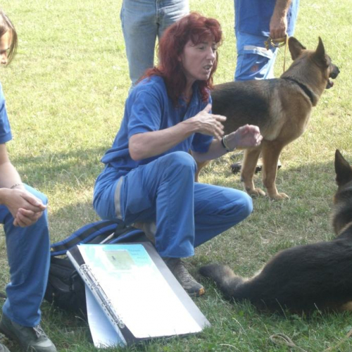 Attivit‡ 22/07 n. 2 / 54717