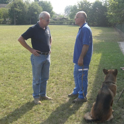 Attivit‡ 22/07 n. 3 / 54718