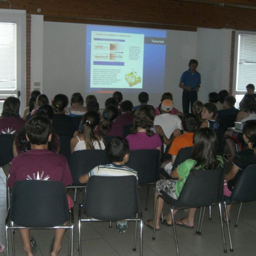 Attivit‡ 22/07 n. 6 / 54721