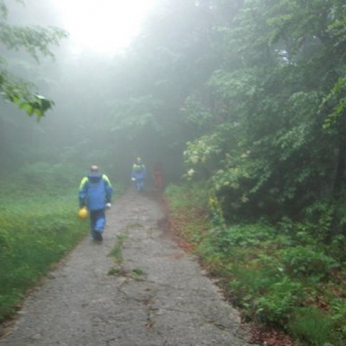 Malga Fioretto 2012 n. 17 / 82564