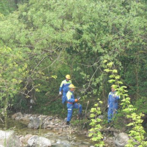 Attivit‡ Torrente Colvera" 2014 n. 2""ttivit‡ "Torrente Colvera" ""tivit‡ "Torrente C""ivit‡ "Tor""vit" / 107651