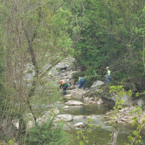 Attivit‡ Torrente Colvera" 2014 n. 4""ttivit‡ "Torrente Colvera" ""tivit‡ "Torrente C""ivit‡ "Tor""vit" / 107653