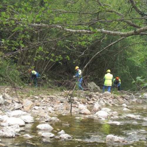 Attivit‡ Torrente Colvera" 2014 n. 7""ttivit‡ "Torrente Colvera" ""tivit‡ "Torrente C""ivit‡ "Tor""vit" / 107656