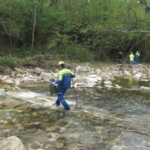 Attivit‡ Torrente Colvera" 2014 n. 8""ttivit‡ "Torrente Colvera" ""tivit‡ "Torrente C""ivit‡ "Tor""vit" / 107657