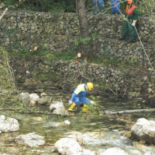 Attivit‡ Torrente Colvera" 2014 n. 13""ttivit‡ "Torrente Colvera" 2""tivit‡ "Torrente Co""ivit‡ "Torr""vit‡" / 107662