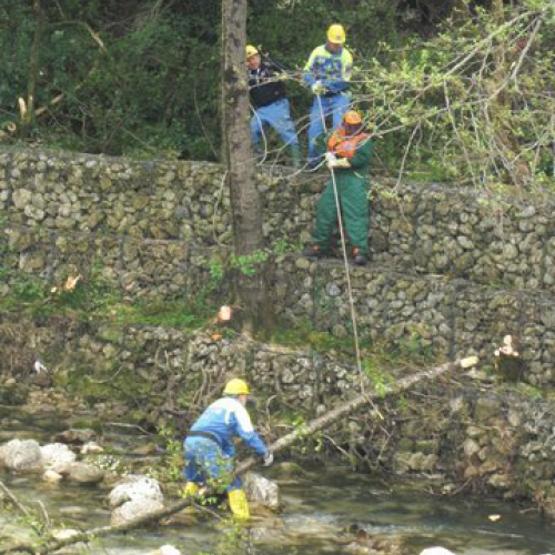 Attivit‡ Torrente Colvera" 2014 n. 14""ttivit‡ "Torrente Colvera" 2""tivit‡ "Torrente Co""ivit‡ "Torr""vit‡" / 107663