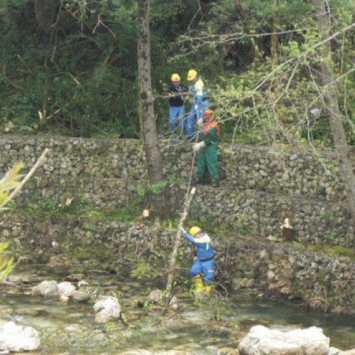 Attivit‡ Torrente Colvera" 2014 n. 18""ttivit‡ "Torrente Colvera" 2""tivit‡ "Torrente Co""ivit‡ "Torr""vit‡" / 107667