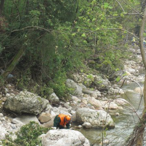 Attivit‡ Torrente Colvera" 2014 n. 21""ttivit‡ "Torrente Colvera" 2""tivit‡ "Torrente Co""ivit‡ "Torr""vit‡" / 107670