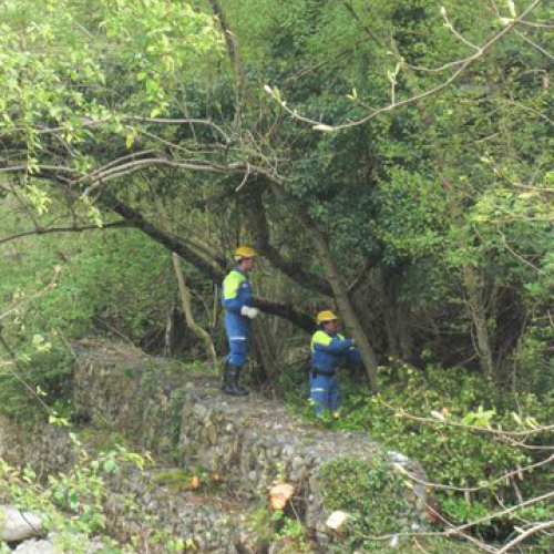 Attivit‡ Torrente Colvera" 2014 n. 22""ttivit‡ "Torrente Colvera" 2""tivit‡ "Torrente Co""ivit‡ "Torr""vit‡" / 107671