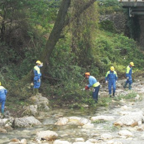 Attivit‡ Torrente Colvera" 2014 n. 25""ttivit‡ "Torrente Colvera" 2""tivit‡ "Torrente Co""ivit‡ "Torr""vit‡" / 107674