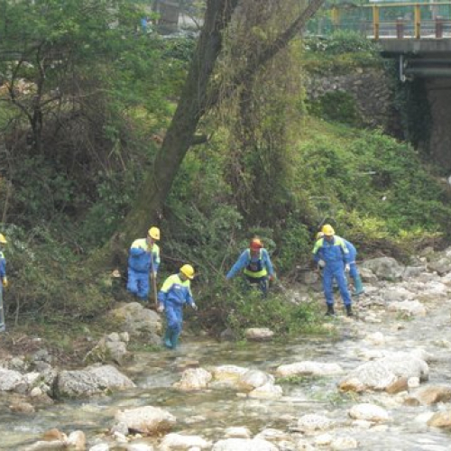 Attivit‡ Torrente Colvera" 2014 n. 28""ttivit‡ "Torrente Colvera" 2""tivit‡ "Torrente Co""ivit‡ "Torr""vit‡" / 107677