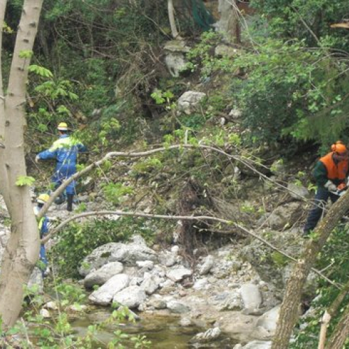 Attivit‡ Torrente Colvera" 2014 n. 29""ttivit‡ "Torrente Colvera" 2""tivit‡ "Torrente Co""ivit‡ "Torr""vit‡" / 107678