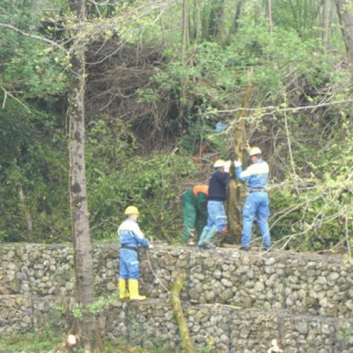 Attivit‡ Torrente Colvera" 2014 n. 31""ttivit‡ "Torrente Colvera" 2""tivit‡ "Torrente Co""ivit‡ "Torr""vit‡" / 107680