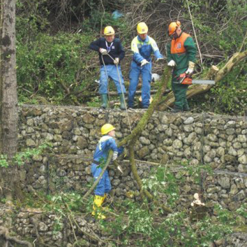 Attivit‡ Torrente Colvera" 2014 n. 33""ttivit‡ "Torrente Colvera" 2""tivit‡ "Torrente Co""ivit‡ "Torr""vit‡" / 107682