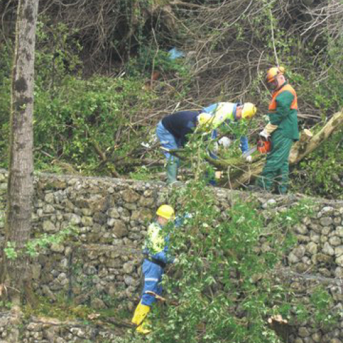 Attivit‡ Torrente Colvera" 2014 n. 34""ttivit‡ "Torrente Colvera" 2""tivit‡ "Torrente Co""ivit‡ "Torr""vit‡" / 107683
