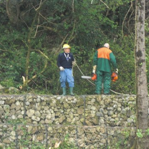 Attivit‡ Torrente Colvera" 2014 n. 37""ttivit‡ "Torrente Colvera" 2""tivit‡ "Torrente Co""ivit‡ "Torr""vit‡" / 107686