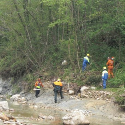 Attivit‡ Torrente Colvera" 2014 n. 39""ttivit‡ "Torrente Colvera" 2""tivit‡ "Torrente Co""ivit‡ "Torr""vit‡" / 107688