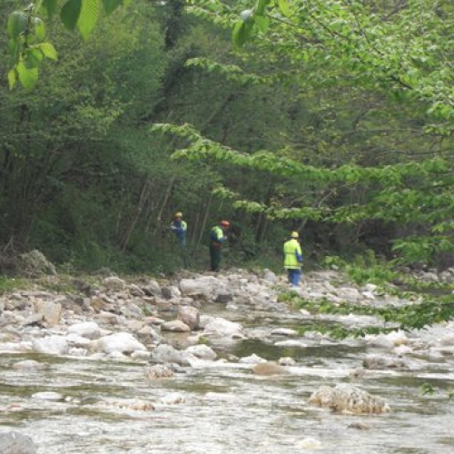 Attivit‡ Torrente Colvera" 2014 n. 41""ttivit‡ "Torrente Colvera" 2""tivit‡ "Torrente Co""ivit‡ "Torr""vit‡" / 107690