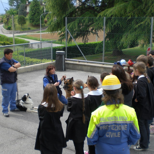 Evacuazione scuola 04/05 n. 1 / 41437