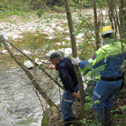 Attivit‡ Torrente Colvera" 2014 n. 43""ttivit‡ "Torrente Colvera" 2""tivit‡ "Torrente Co""ivit‡ "Torr""vit‡" / 107692