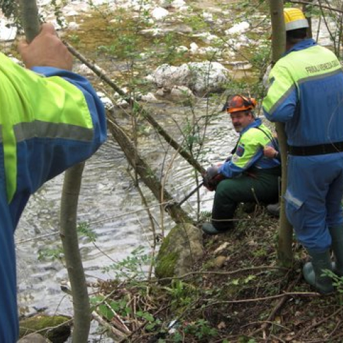 Attivit‡ Torrente Colvera" 2014 n. 44""ttivit‡ "Torrente Colvera" 2""tivit‡ "Torrente Co""ivit‡ "Torr""vit‡" / 107693