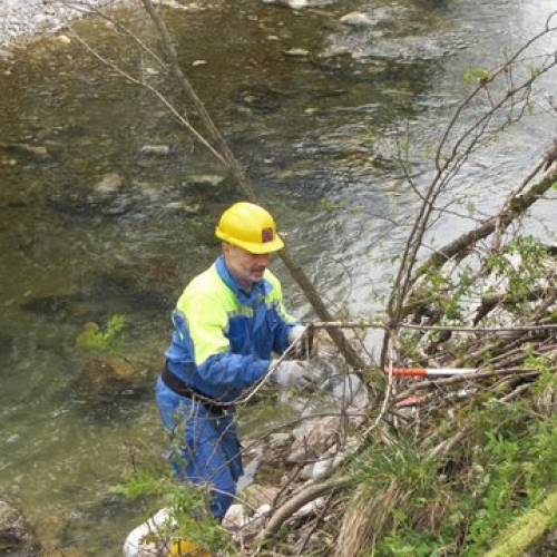 Attivit‡ Torrente Colvera" 2014 n. 53""ttivit‡ "Torrente Colvera" 2""tivit‡ "Torrente Co""ivit‡ "Torr""vit‡" / 107702