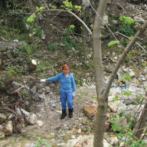 Attivit‡ Torrente Colvera" 2014 n. 55""ttivit‡ "Torrente Colvera" 2""tivit‡ "Torrente Co""ivit‡ "Torr""vit‡" / 107704