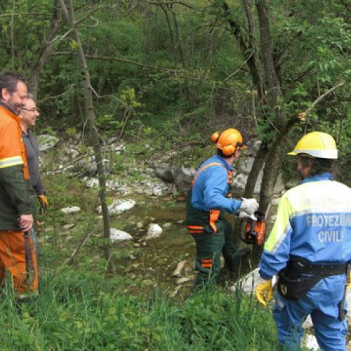 Attivit‡ Torrente Colvera" 2014 n. 58""ttivit‡ "Torrente Colvera" 2""tivit‡ "Torrente Co""ivit‡ "Torr""vit‡" / 107707