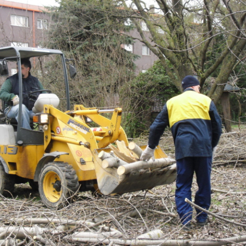 Attivit‡ di prevenzione 23/04/13 n. 25 / 94315