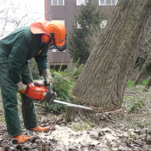 Attivit‡ di prevenzione 23/04/13 n. 27 / 94317