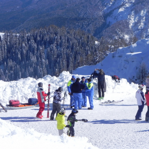 Attivit‡ di supporto Coppa del mondo di sci alpino paraolimpico" n. 20""ttivit‡ di supporto "Coppa del mondo di sci alpin""tivit‡ di supporto "Coppa de""ivit‡ di" / 104709