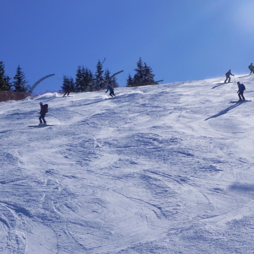 Attivit‡ di supporto Coppa del mondo di sci alpino paraolimpico" n. 21""ttivit‡ di supporto "Coppa del mondo di sci alpin""tivit‡ di supporto "Coppa de""ivit‡ di" / 104710
