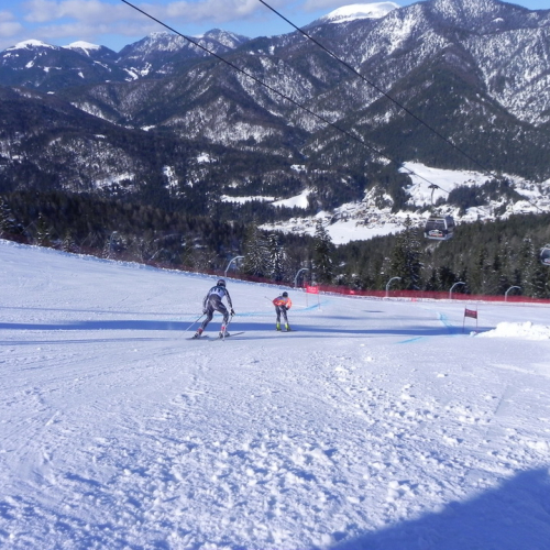 Attivit‡ di supporto Coppa del mondo di sci alpino paraolimpico" n. 25""ttivit‡ di supporto "Coppa del mondo di sci alpin""tivit‡ di supporto "Coppa de""ivit‡ di" / 104714