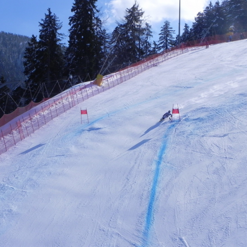 Attivit‡ di supporto Coppa del mondo di sci alpino paraolimpico" n. 44""ttivit‡ di supporto "Coppa del mondo di sci alpin""tivit‡ di supporto "Coppa de""ivit‡ di" / 104733