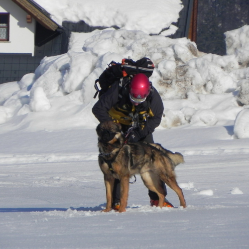 Attivit‡ di supporto Coppa del mondo di sci alpino paraolimpico" n. 53""ttivit‡ di supporto "Coppa del mondo di sci alpin""tivit‡ di supporto "Coppa de""ivit‡ di" / 104742