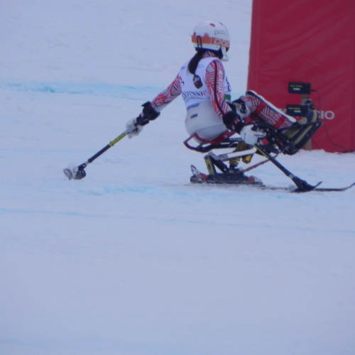 Attivit‡ di supporto Coppa del mondo di sci alpino paraolimpico" n. 67""ttivit‡ di supporto "Coppa del mondo di sci alpin""tivit‡ di supporto "Coppa de""ivit‡ di" / 104756