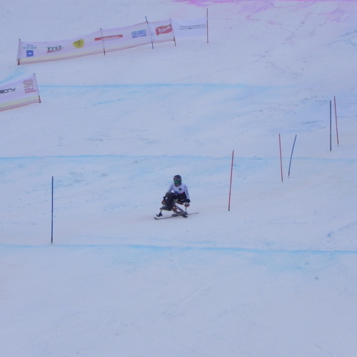 Attivit‡ di supporto Coppa del mondo di sci alpino paraolimpico" n. 69""ttivit‡ di supporto "Coppa del mondo di sci alpin""tivit‡ di supporto "Coppa de""ivit‡ di" / 104758