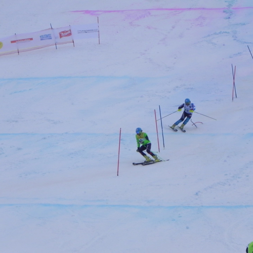 Attivit‡ di supporto Coppa del mondo di sci alpino paraolimpico" n. 70""ttivit‡ di supporto "Coppa del mondo di sci alpin""tivit‡ di supporto "Coppa de""ivit‡ di" / 104759