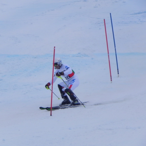 Attivit‡ di supporto Coppa del mondo di sci alpino paraolimpico" n. 71""ttivit‡ di supporto "Coppa del mondo di sci alpin""tivit‡ di supporto "Coppa de""ivit‡ di" / 104760