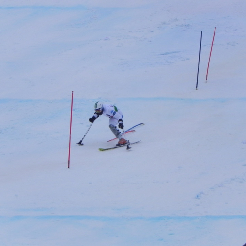 Attivit‡ di supporto Coppa del mondo di sci alpino paraolimpico" n. 72""ttivit‡ di supporto "Coppa del mondo di sci alpin""tivit‡ di supporto "Coppa de""ivit‡ di" / 104761