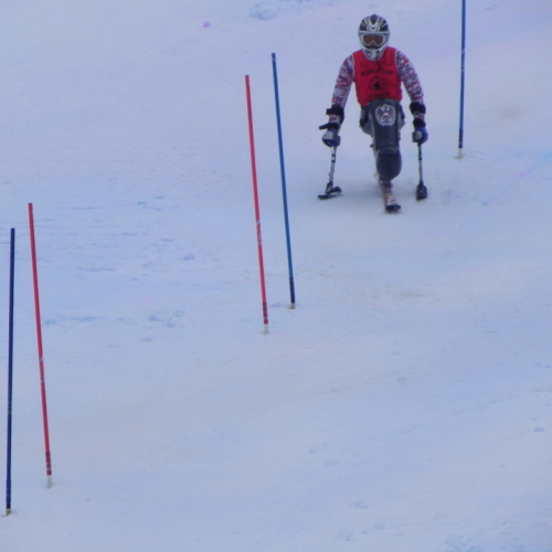 Attivit‡ di supporto Coppa del mondo di sci alpino paraolimpico" n. 73""ttivit‡ di supporto "Coppa del mondo di sci alpin""tivit‡ di supporto "Coppa de""ivit‡ di" / 104762