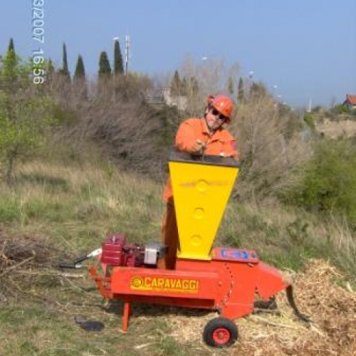 foto volontari Muggia 3 / 10293