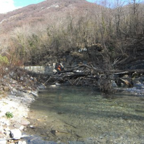 Foto / 115864