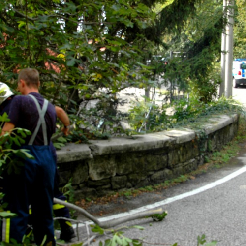 Intervento strada nuova per Opicina n. 2 / 86632