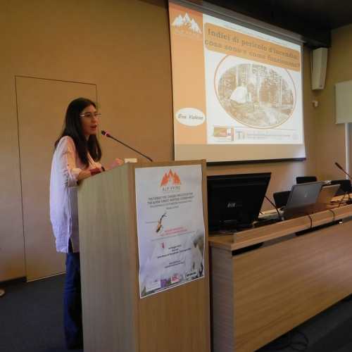 Seminario Incendi Boschivi nel Friuli Venezia Giulia" n. 7""eminario "Incendi Boschivi nel Friuli Venezia Gi""minario "Incendi Boschivi nel Friuli V""inario "Incendi Boschivi nel ""nario "Incendi Boschi""ario "Incendi ""rio "Inc""io " / 81827