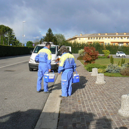 Trasporto sangue cordonale Gruppo S. Giorgio Richinvelda n. 4 / 108816