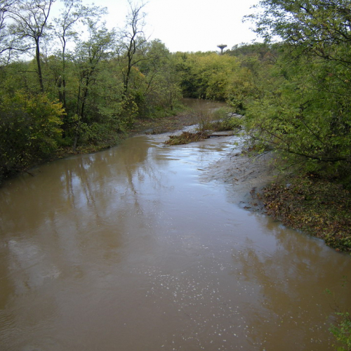 Torrente Cormor 30-10-08 n.1 / 31546